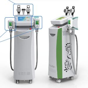 Quality Cryolipolysis cryo fat equipment / fat freezing machine belly fat removal equipment wholesale