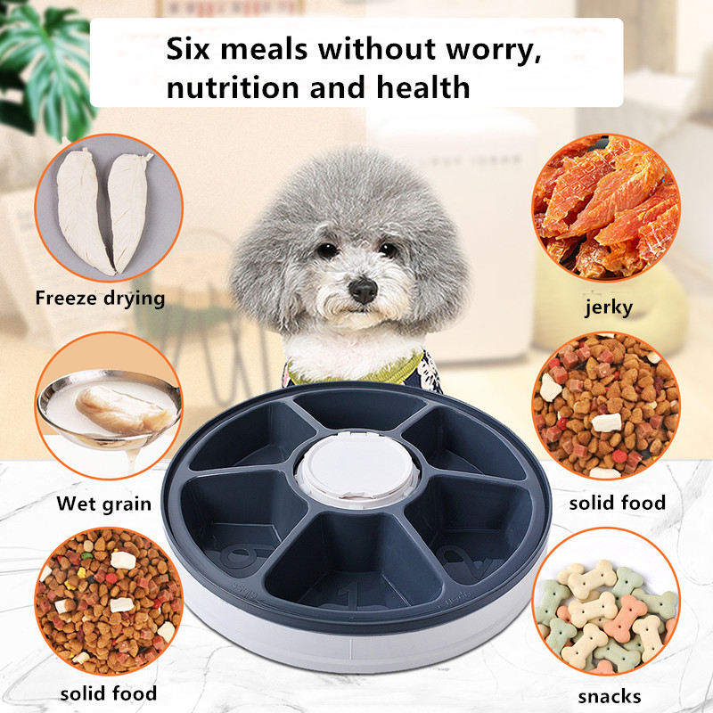 Electronic Timed Pet Feeder Water Food For Long Eared Dogs