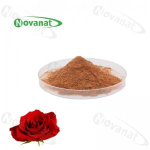 Quality Antifatigue Rose Flower Extract Powder 4/120% And 25% Polyphenols/Food Beverage wholesale
