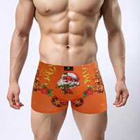 High Quality Shorts Men Underwear Boxers Men's Boxer Modal Sexy Mens Boxer Shorts flag und