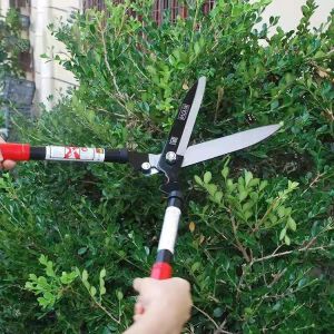 Landscaping Long Handled Tree Loppers Hedge Trimmer Retractable Large Telescopic