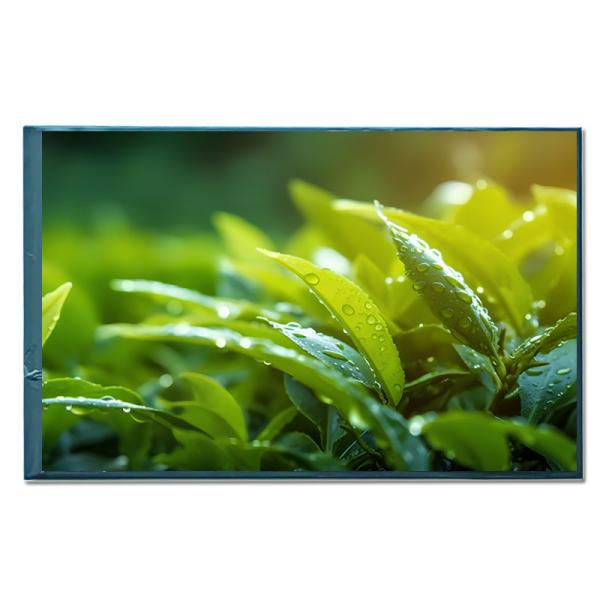 Cheap IPS 8 Inch TFT LCD Monitor Module MIPI Interface Medical LCD Monitor for sale