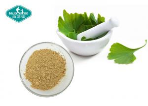 Quality Ginkgo Biloba Standardized Extract Powder 24/6 for Memory Support wholesale