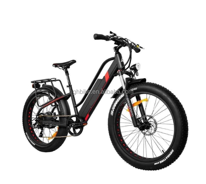 750W 50KM/H A2B CE Chinese OEM 48V Motor Fat Tire Electric Mountain Bicycle Good Nice