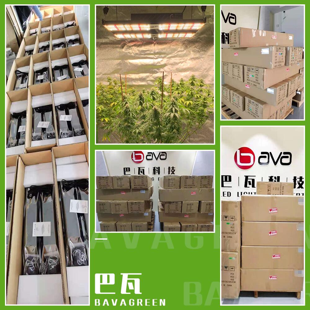BAVA 2.6 umol Led four adjustable specturm switch ir 385nm 240w Greenhouse Grow Lamps