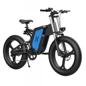Quality Single Speed Folding Ridstar Electric Bike 60km Long Endurance wholesale