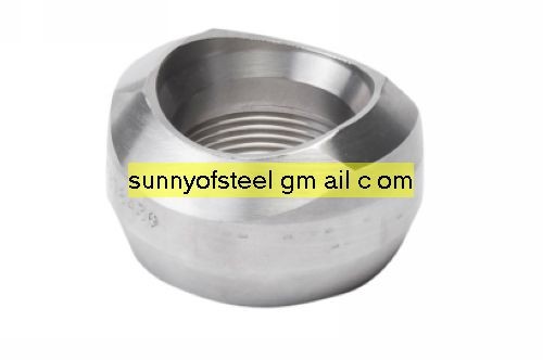 Quality stainless ASTM A182 F304L threadolet wholesale