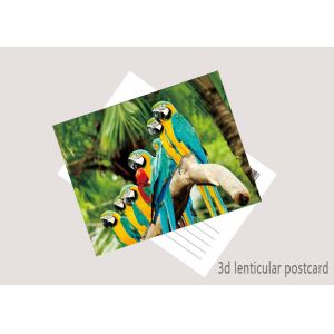 Quality Promotion Cartoon 3D Lenticular Postcard / Flip Lenticular Image Printing wholesale