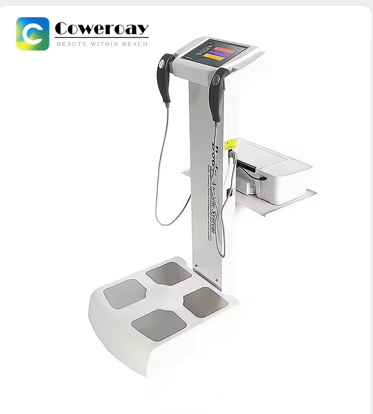Quality Body Scanner Digital Electronic Weighing Scales Health Analysis Machine wholesale