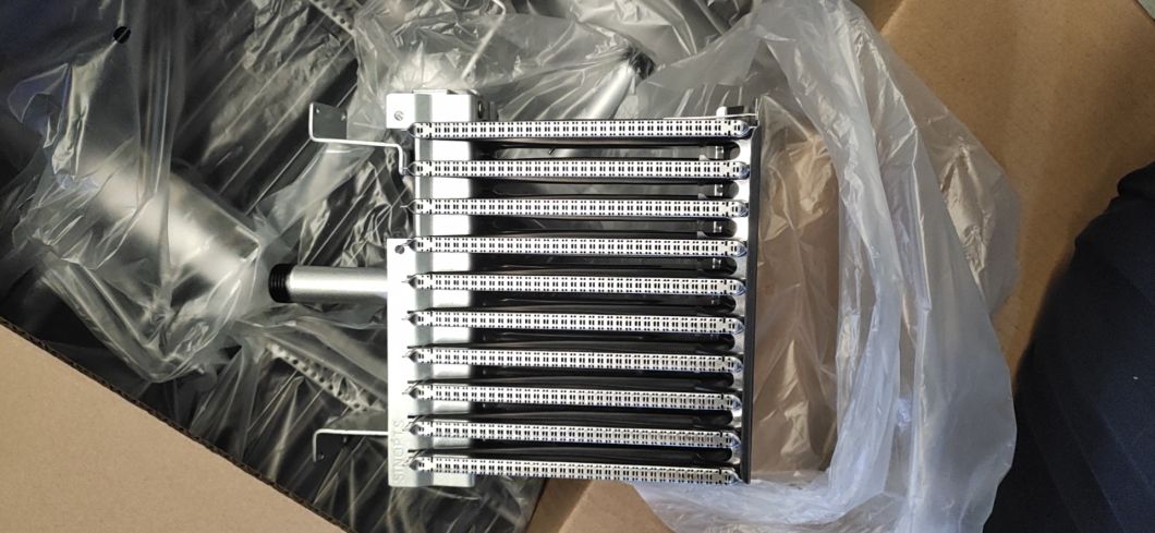 Factory Supply Wall Hung Type Boiler Parts Gas Burner on Sale