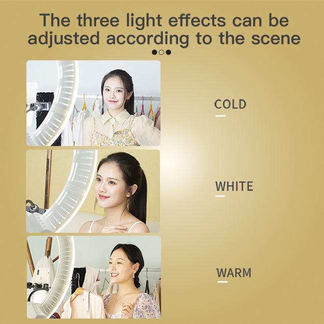 100w large size beauty fill light dual color temperature easy to carry suitable for short video shooting fill light