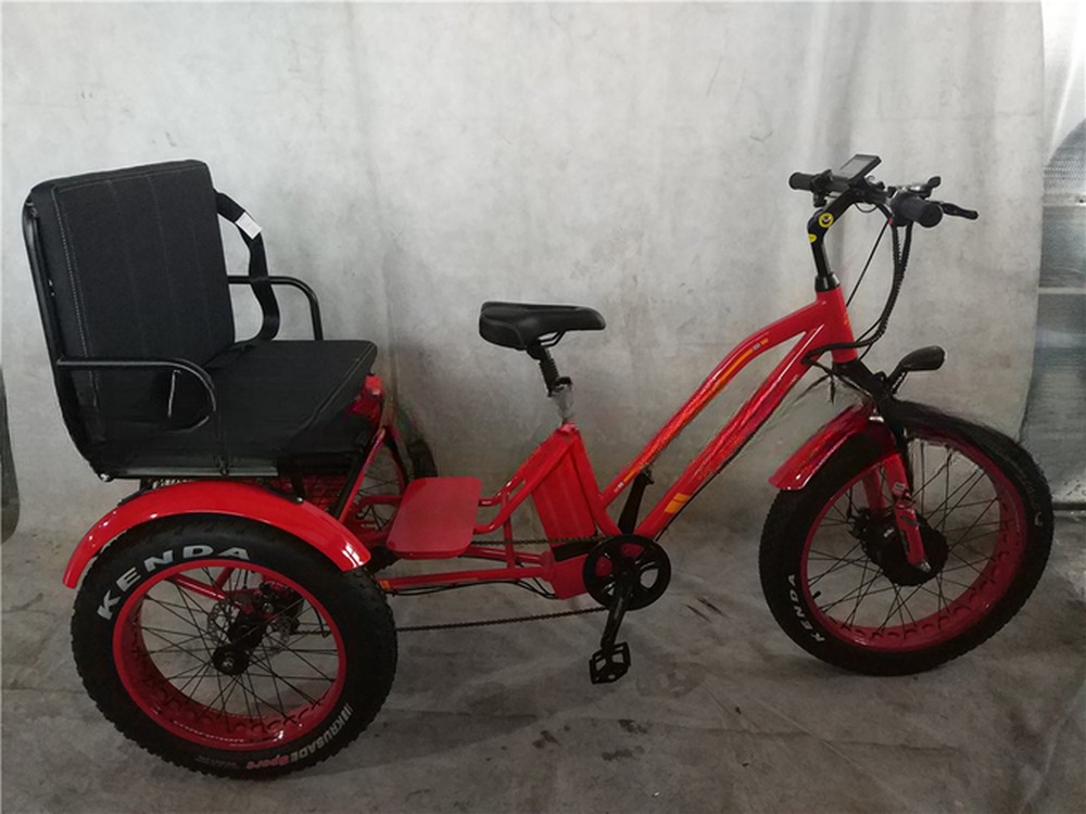 USA 24"20" Motorized Bafang 8fun 750W 48V 17a Adult 3 Wheels Cargo Ebike Electric Tricycle