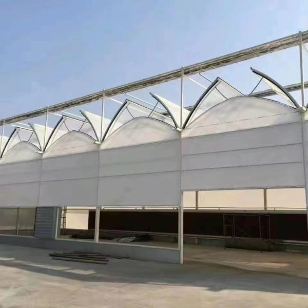 Sunlight Greenhouse 100% Blackout Automatic Light Deprivation Greenhouse in