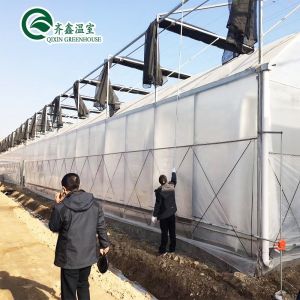 Revolutionize Agriculture Inside and Outside Shading System for Hydroponic