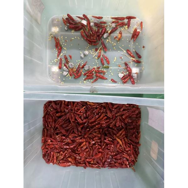 Double Layer Sorter With AI Washable Belt Type Sorter Artificial Intelligence Ribbon Sorter
