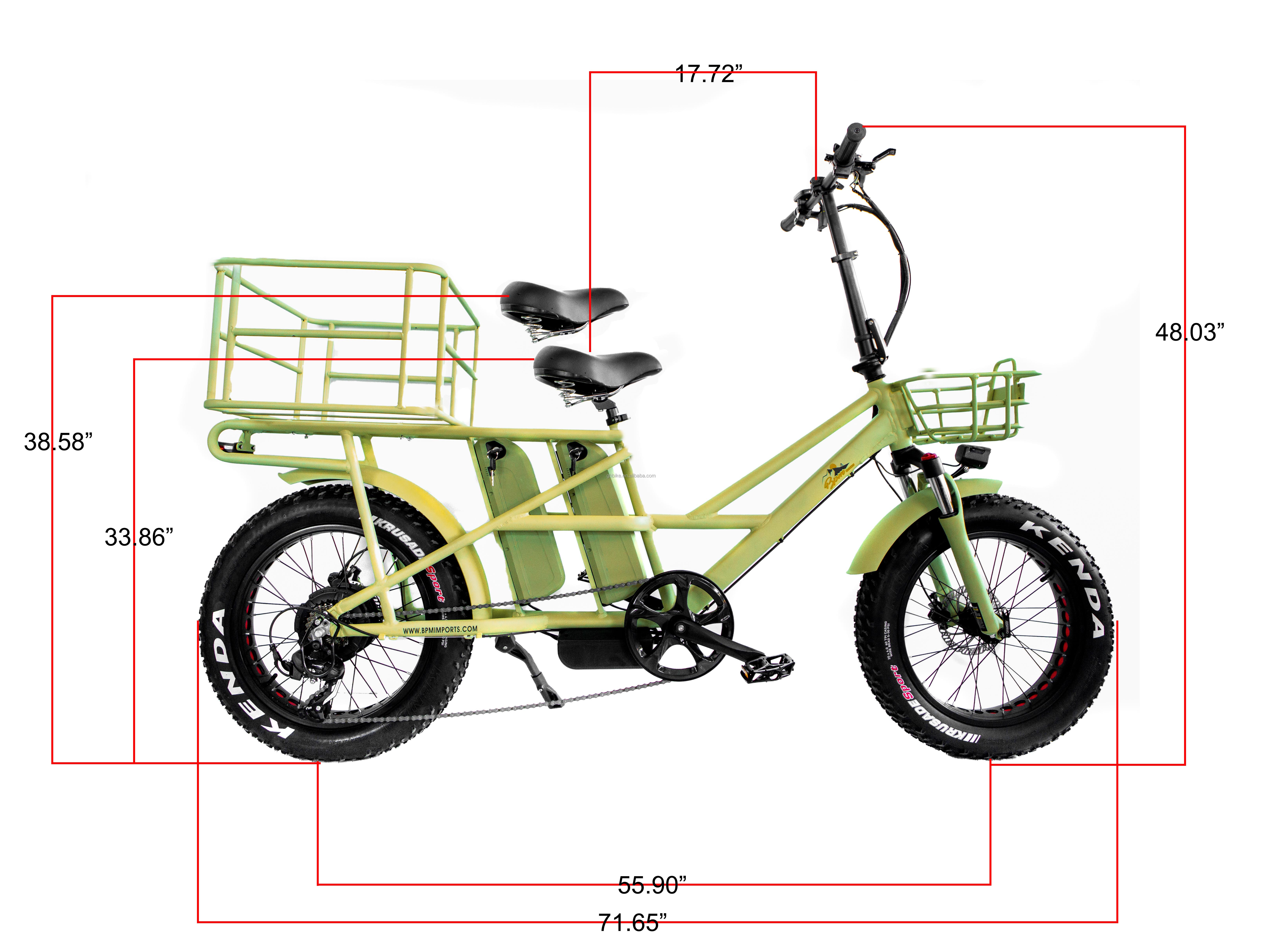 Aluminum Alloy Frame 48V34AH 1000W Fat Tire Ebike with Dual Batteries and Two Baskets