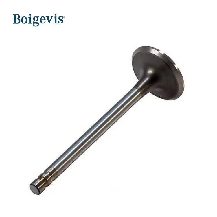 2710531001 2710501127 Intake And Exhaust Valves For Mercedes-Benz 271 New Model