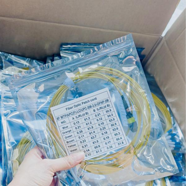 8 Cores SM Spiral Armored MTP-LC Fiber Patch 3.0mm OFNP Jacket Rodent Resistant