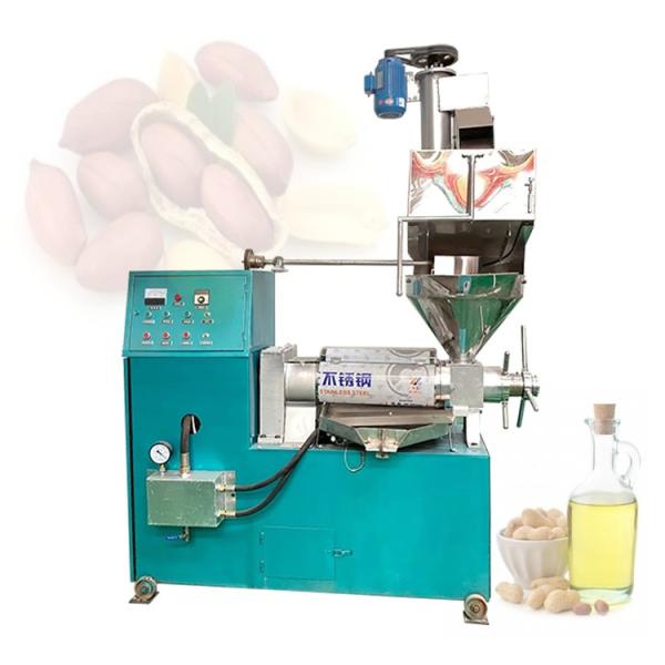 6YL-70 Intelligent Automatic Oil Making Machine / 380KG
