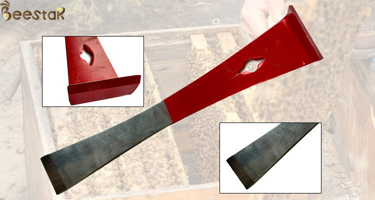 Stainless Steel Hive Tools Spray Half Red Baking Paint Type for Beekeepers
