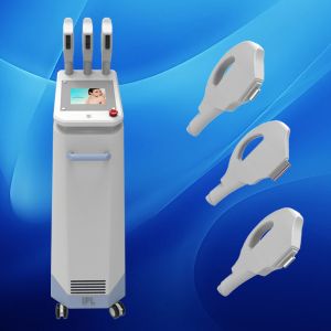 Quality Factory Super Promotion price!! ipl supplier with top quality wholesale