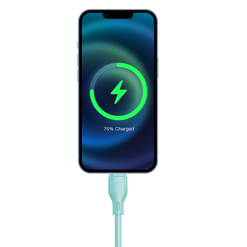 USB 2.0 Type C Cable for High-Speed Data Transfer and Fast Charging and Power Delivery