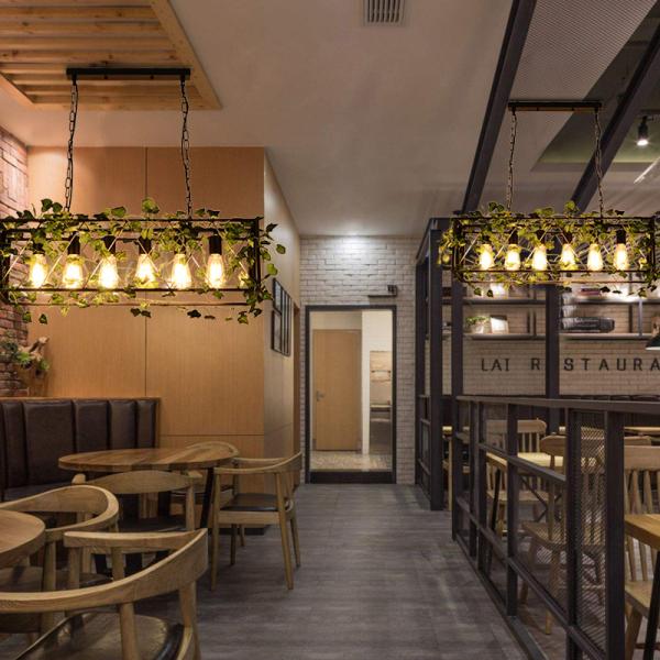 Creative Vintage Plant Pendant Lights Bird Cage Industrial Pendant Lamp(WH-VP-150)