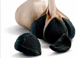 China Natural Garlic Extract,Black Garlic Extract, aged Black Garlic Extract on sale