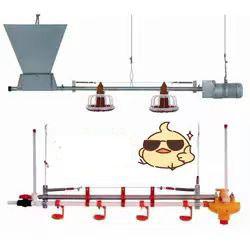 Quality Galvanized Chicken Raising Equipment Poultry Drinking Line Raised Chicken Waterer wholesale