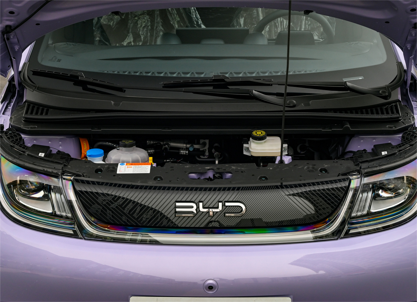 2024 BYD Dolphin Electric Vehicle With 420km Range