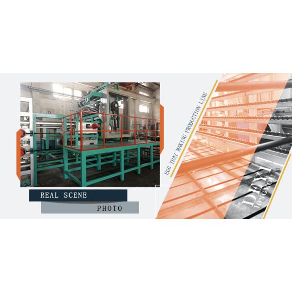 Advanced paper pulp moulding biodegradable egg tray machine production line with competitive price