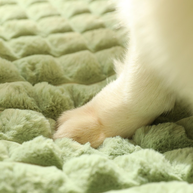 best extra large dog beds