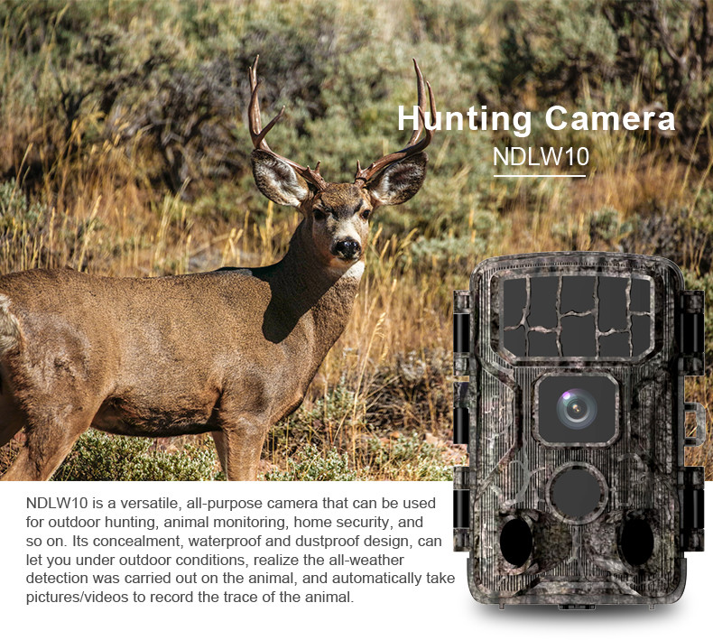 46m Hunting Game Camera 0.3 Second 30fps Wifi Bluetooth Trail