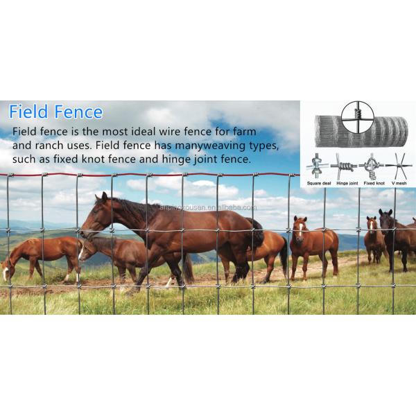 Hot Dipped Galvanized Fixed Knot Woven Game Wire Farm Fencing for Pasture Goat Cow Grassland