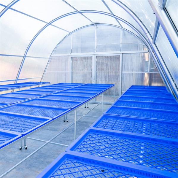 Polytunnel Agricultural Greenhouse Drying Greenhouse For Vegetables Fruit and