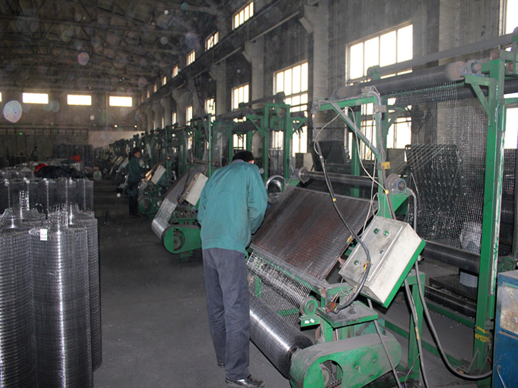 Galvanized welded wire mesh for fence panel,rabbit cage welded mesh,bird cage