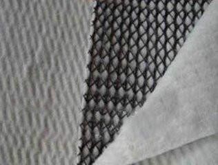 Experience the Difference of Our HDPE Mesh 3D Composite Drainage Geonet for Other Uses