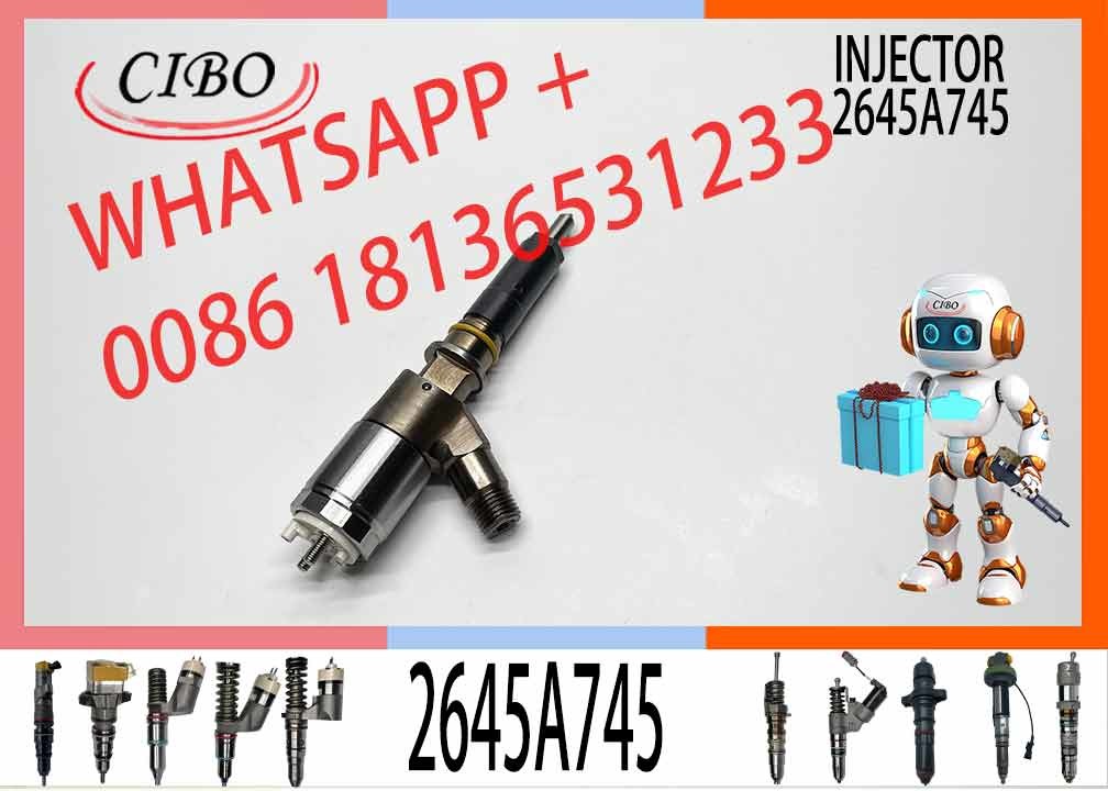 Diesel Fuel Injector 2645A745 10R-7951 2645A717 10R-7675 2645A743 317-2300for Engine C7 C9 C6.6 Excavator 320D