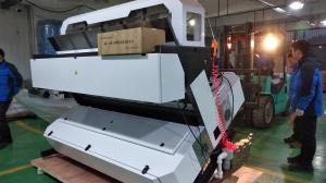 China Automatic Computing Garlic Grading Machine 5 Chutes 12 inch Humanized display on sale