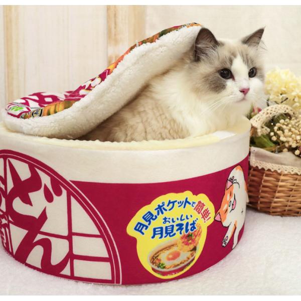 extra large covered cat bed