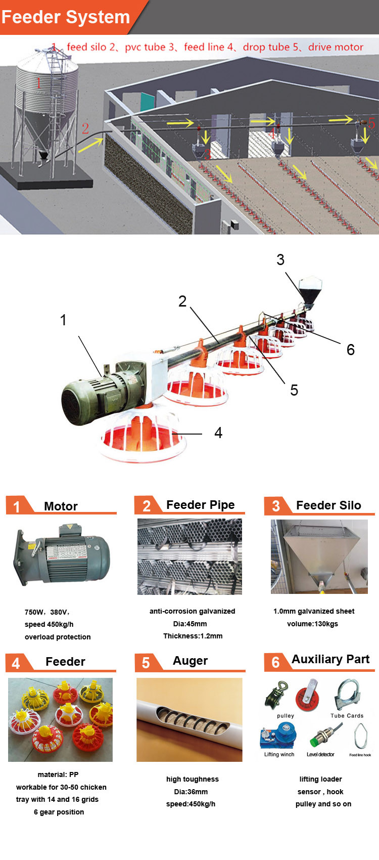 750W Automatic Pan Feeding System