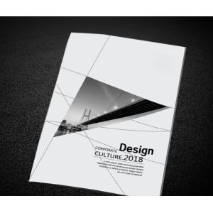 Quality CMYK A3 Instruction Booklet Printing A4 Saddle Stitch Printing Service wholesale