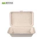 9*6" bagasse food container take away food box