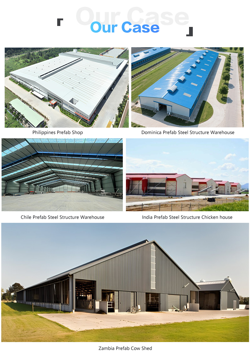 Modern Design Chicken Layer Broiler Poultry Farm Building
