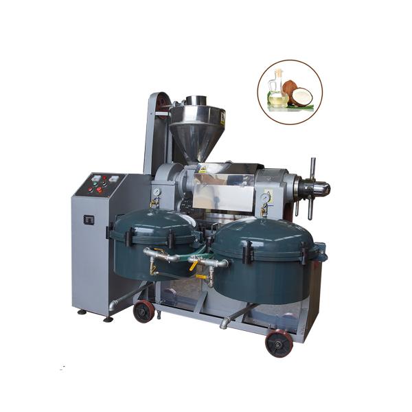 Cheap RF95-A 150-200Kg/h peanut oil pressing machine for sale