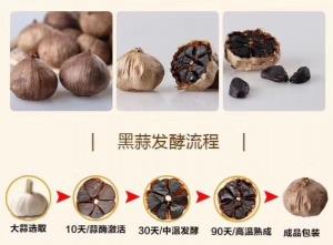 China New Arrival SAC 0.1% Ferment Black Garlic Extract powder on sale