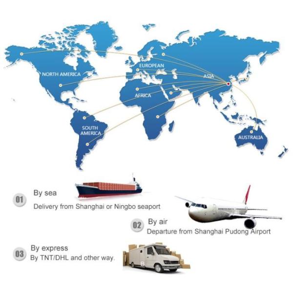 Professional Family Air Fryer / Digital Smart Fryer With Release Button