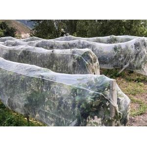 Quality HDPE Anti Insect Netting for Greenhouse and Plant Protection wholesale