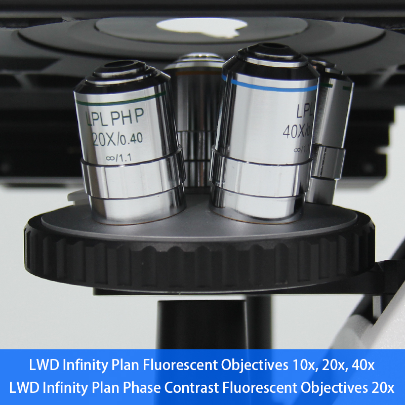 WF10x / 22mm Trinocular Inverted Biological Microscope A14.2603 Large Diameter Quintuple