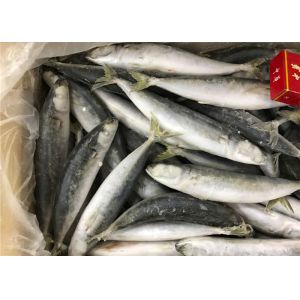 Quality Seafood Health High Protein 100g 120g Frozen Round Scad wholesale